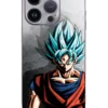 Iphone Skin aksasplus